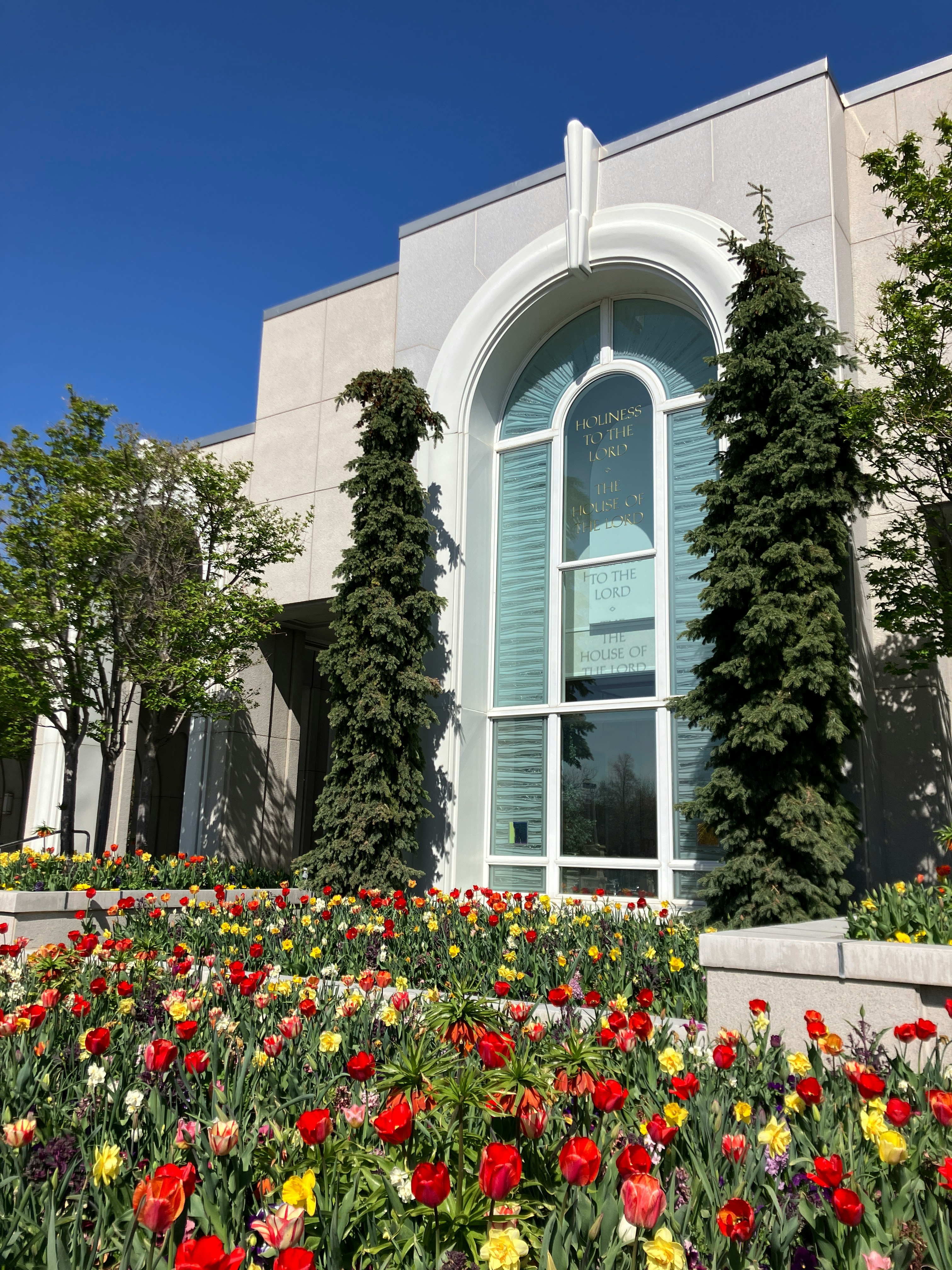 HOA community landscaping project design and installation