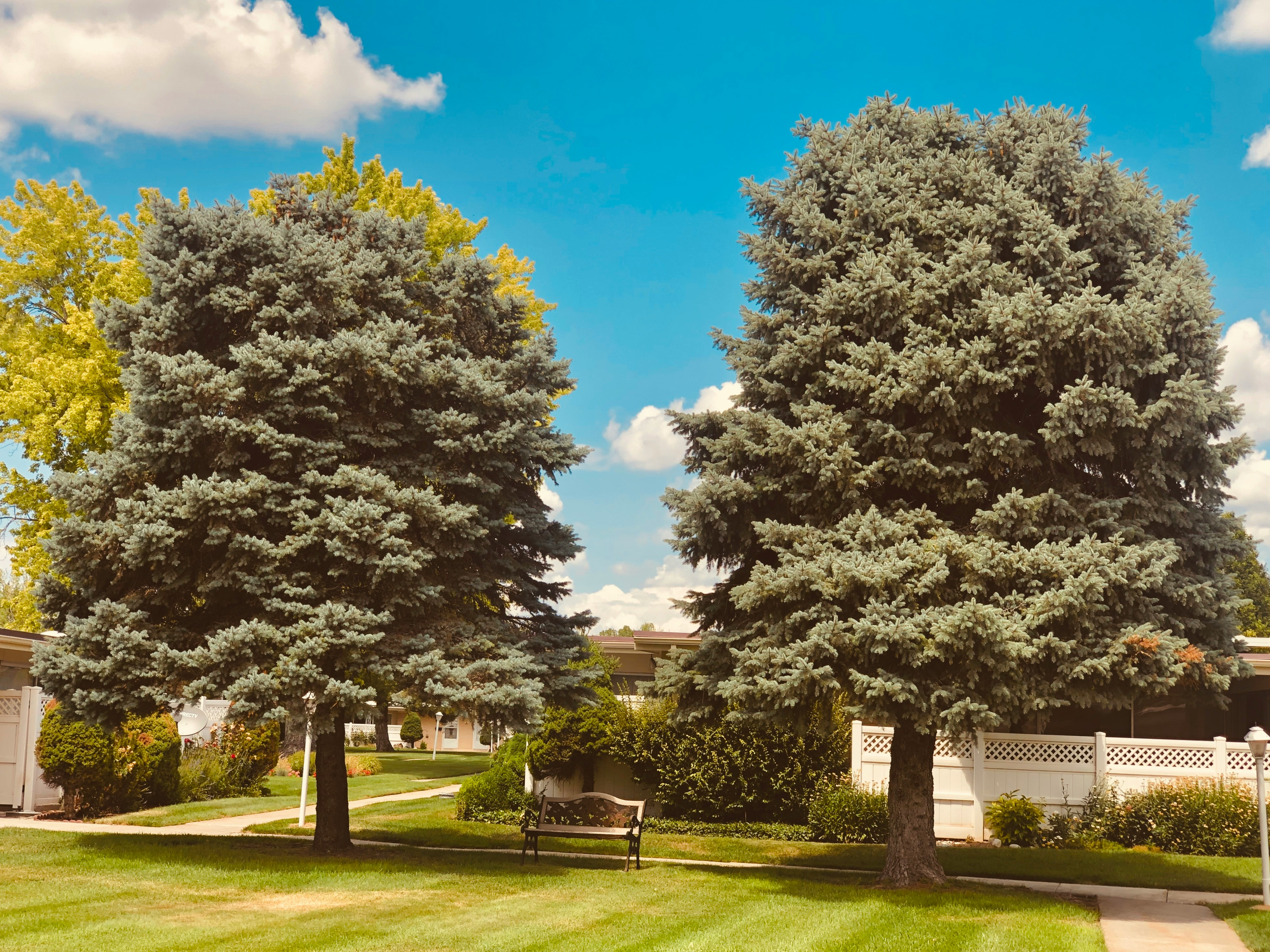 Professional commercial landscape installation and maintenance
