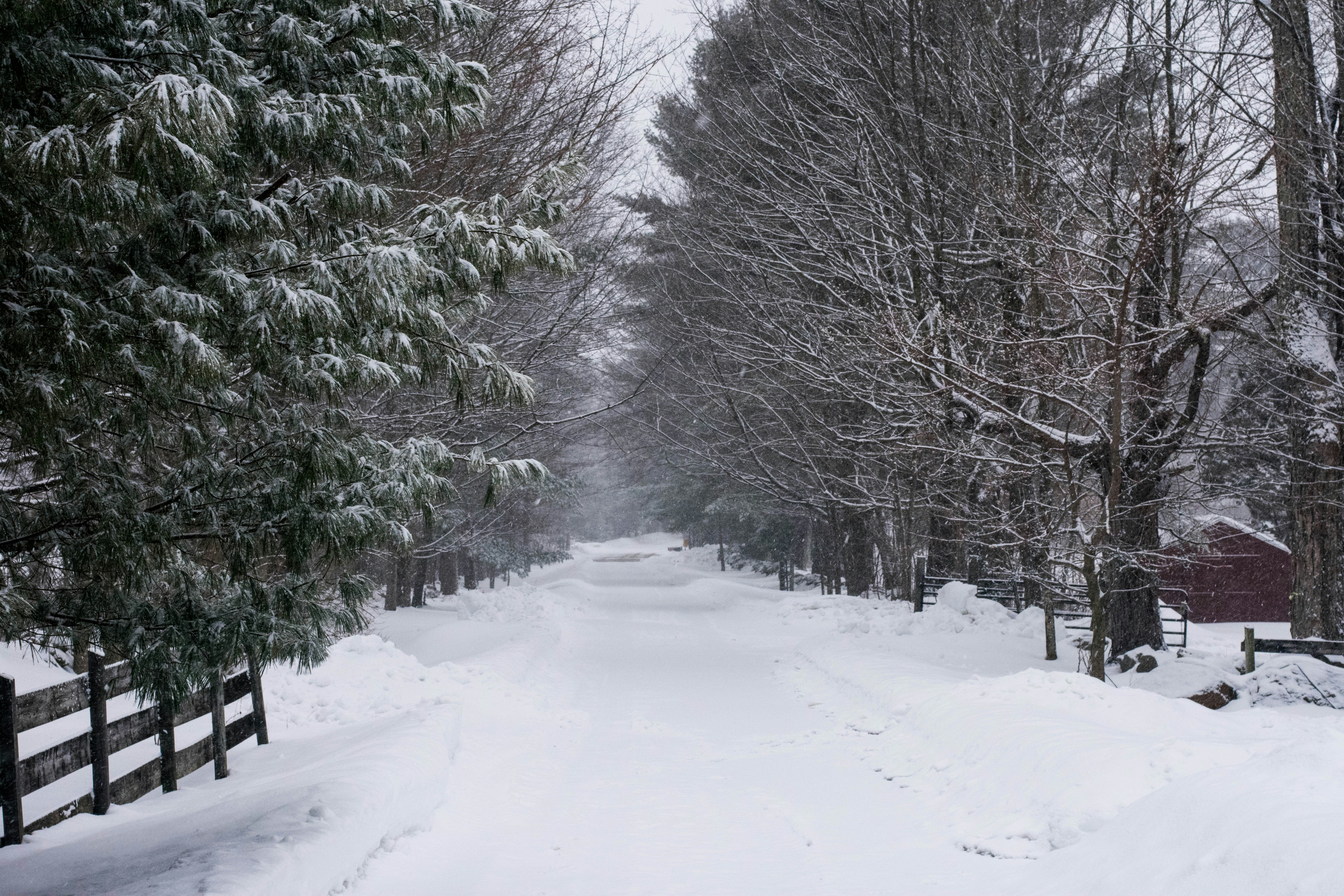 Heated driveway installation and snow melt system