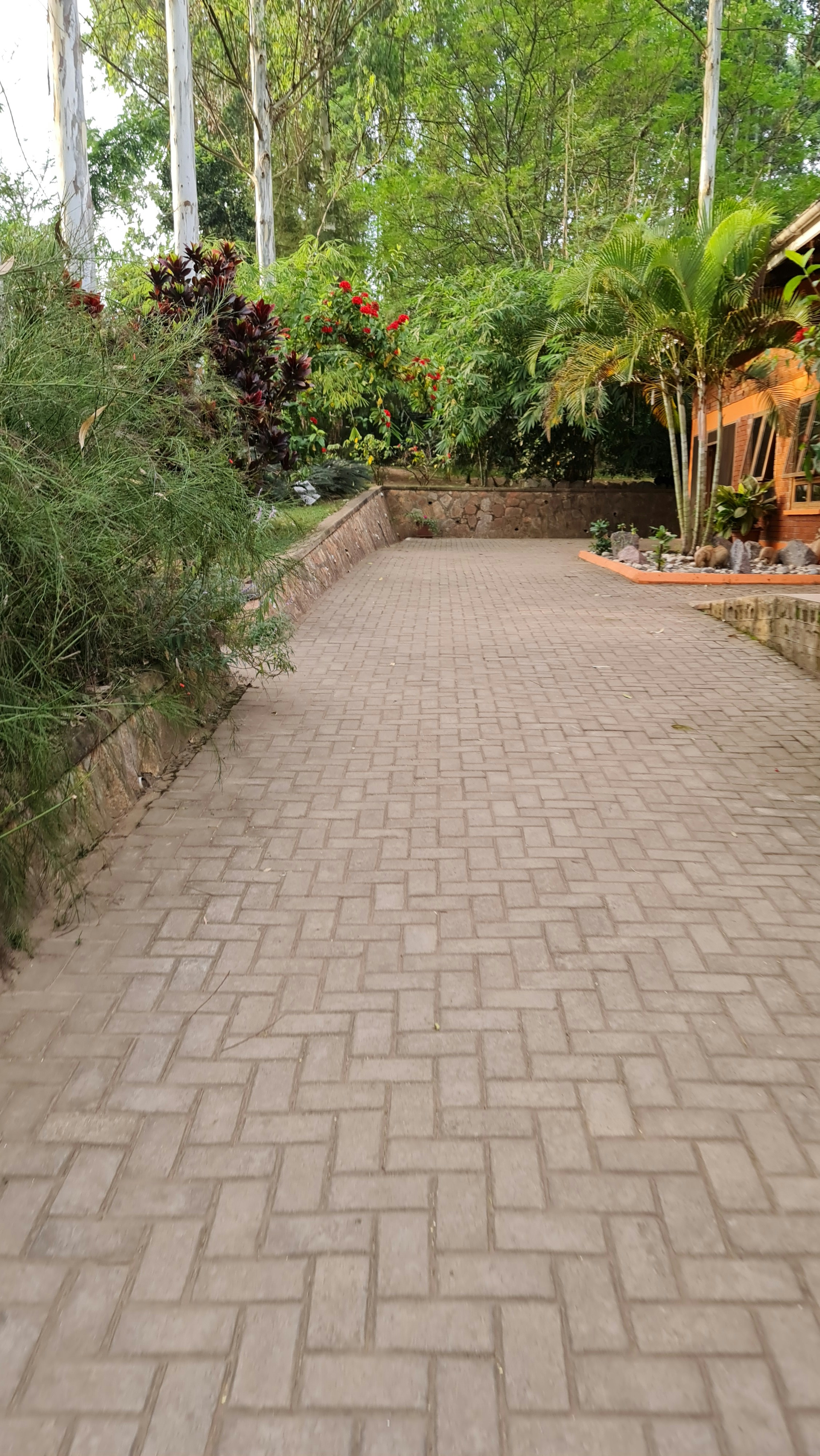 Paver patio hardscape installation and design