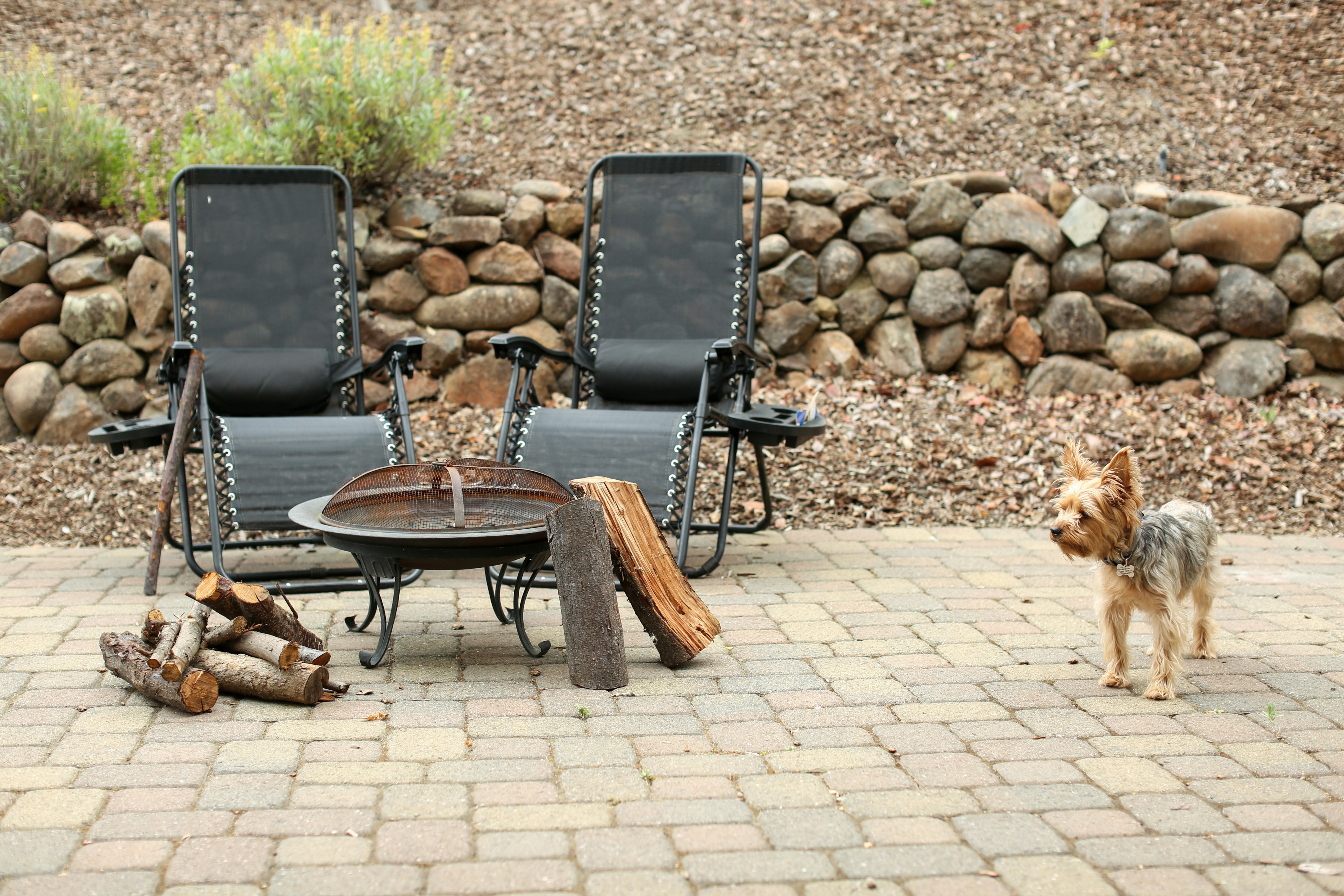 Decorative paver patio design