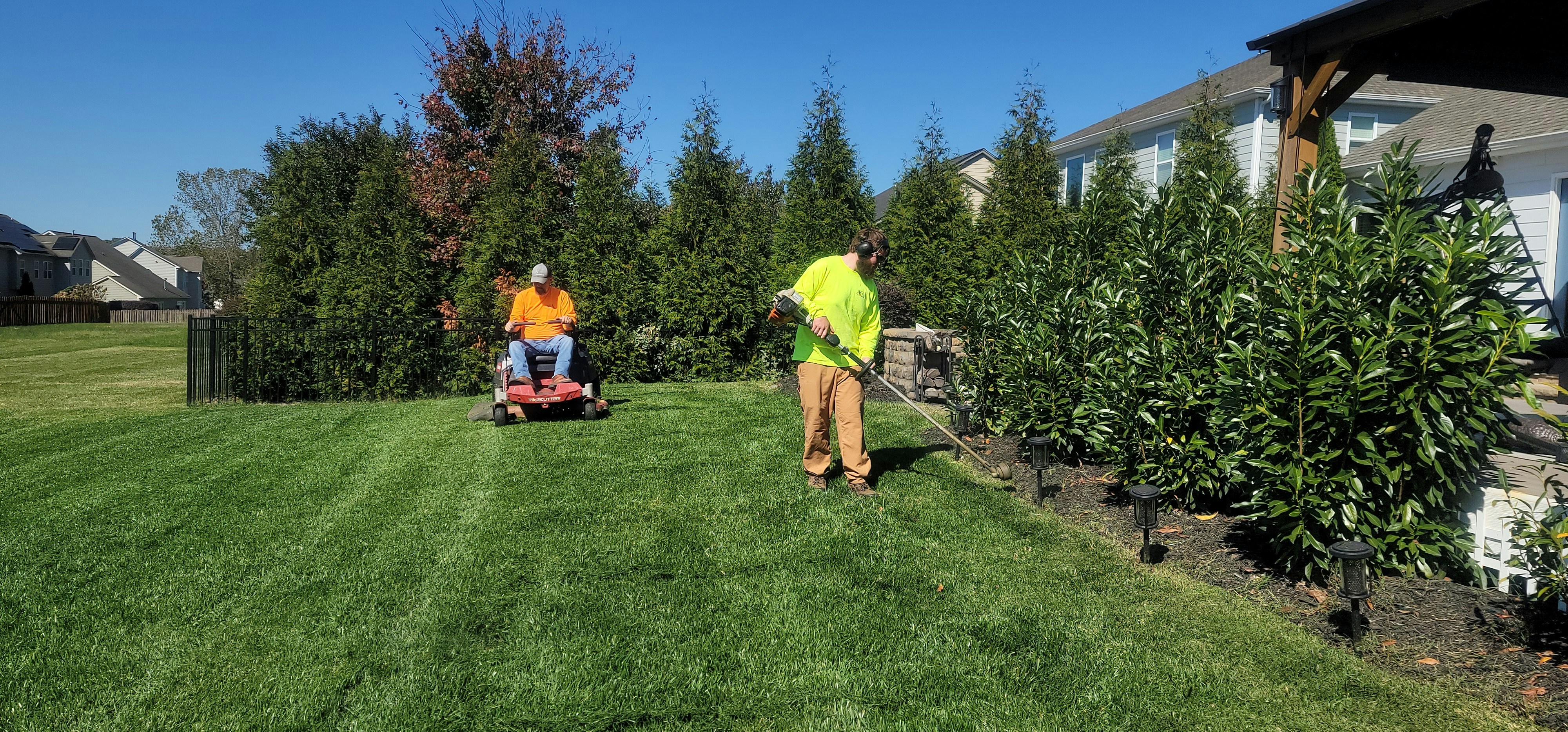 Professional sod installation lawn care